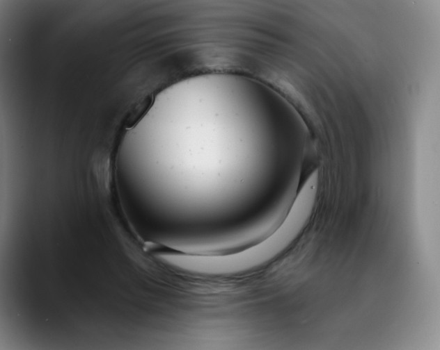 X0000089900397200707121853