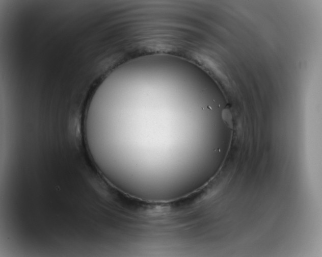 X0000089900398200707121853