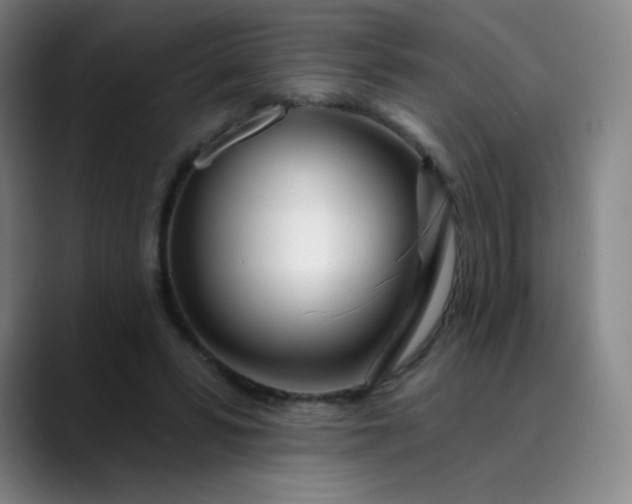 X0000089900399200707121853