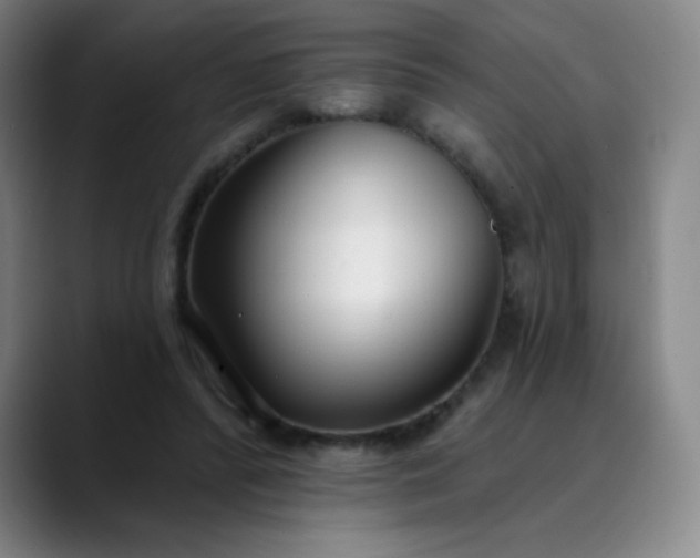 X0000089900400200707121853