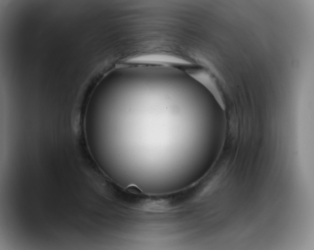 X0000089900403200707121853