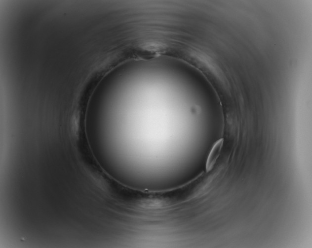 X0000089900404200707121853