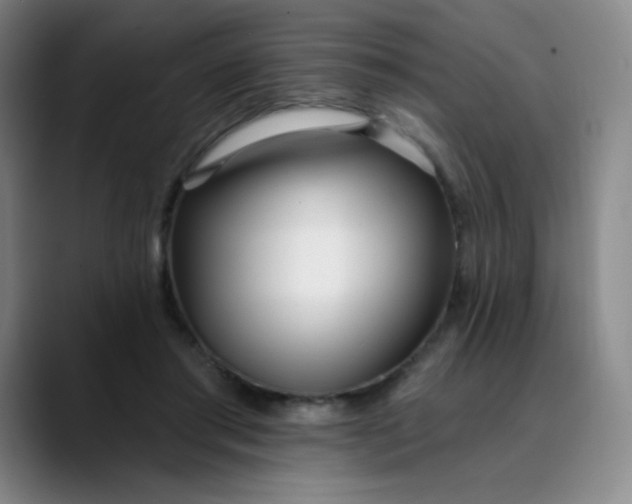 X0000089900405200707121853