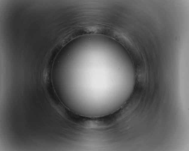 X0000089900408200707121853