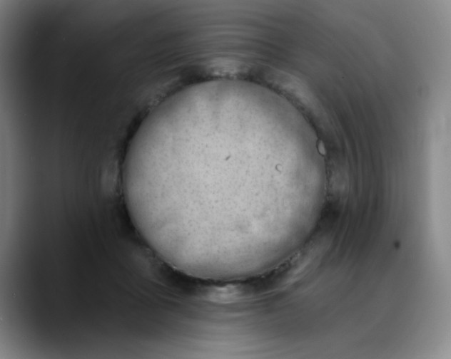 X0000089900411200707121853