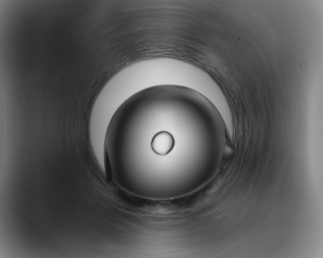 X0000089900412200707121853