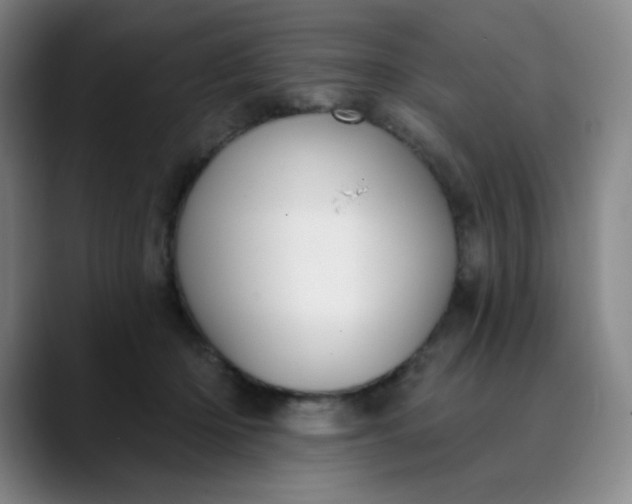 X0000089900414200707121853