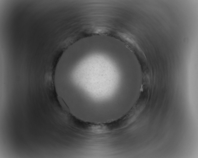X0000089900415200707121853