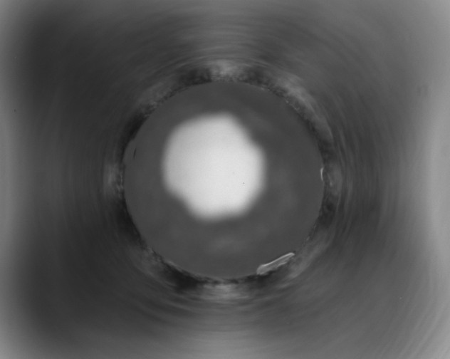 X0000089900419200707121853