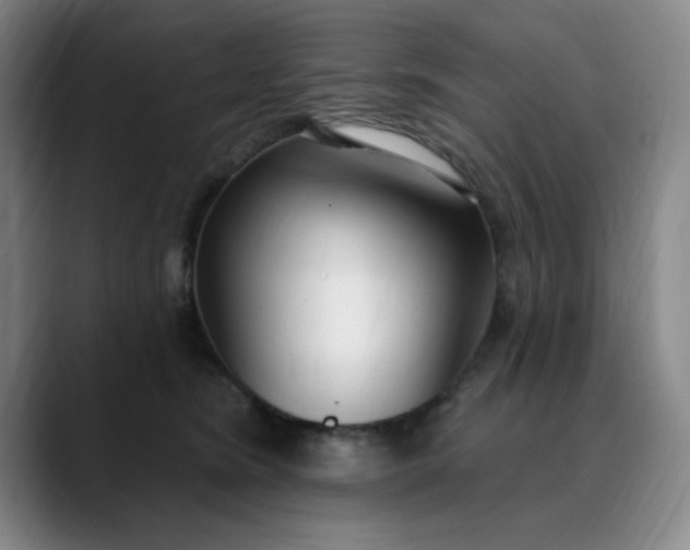 X0000089900420200707121853