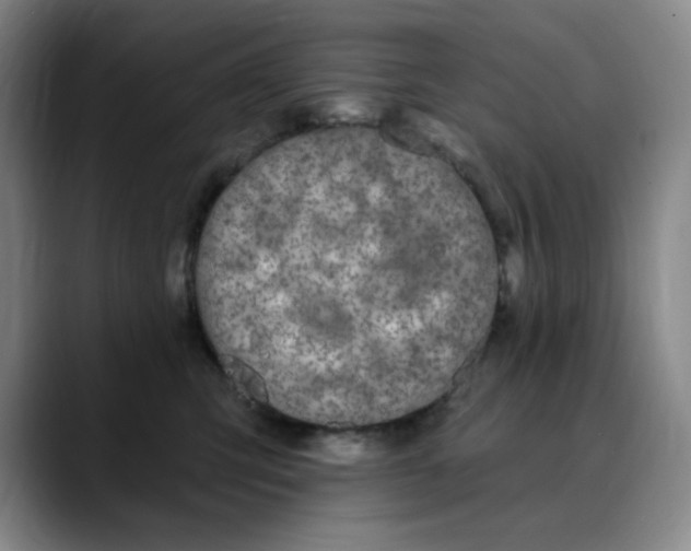 X0000089900423200707121853