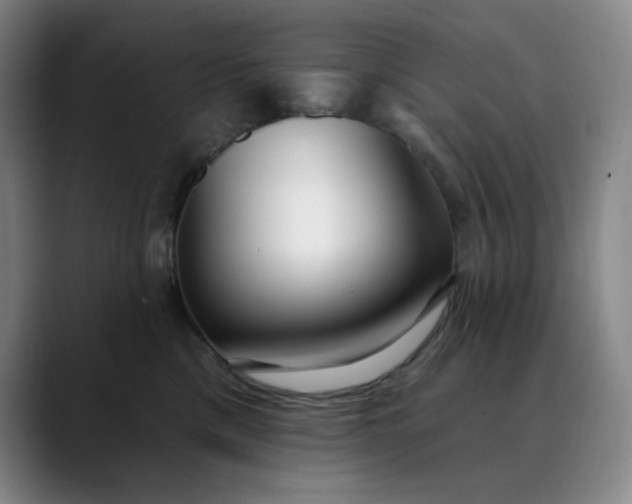 X0000089900425200707121853