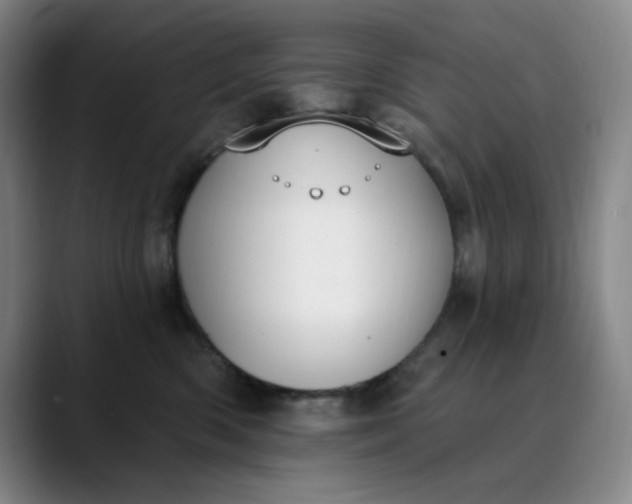 X0000089900426200707121853