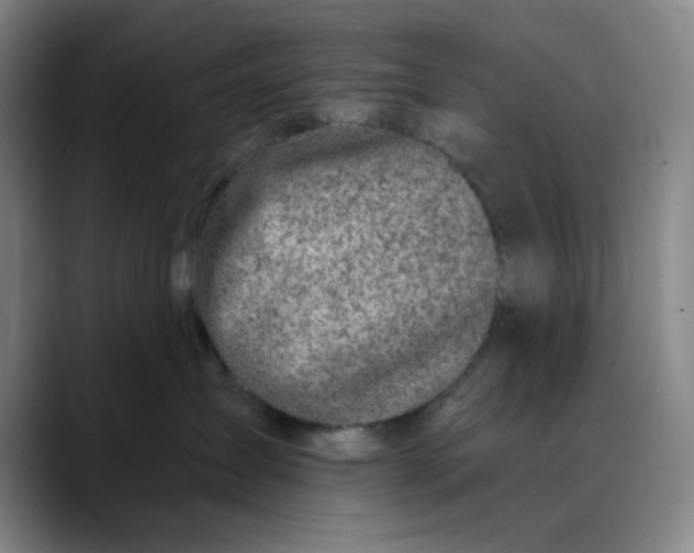 X0000089900431200707121853