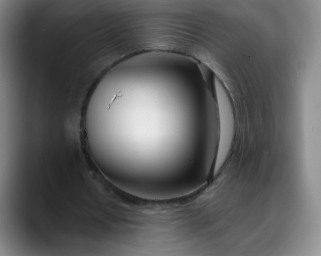 X0000089900434200707121852