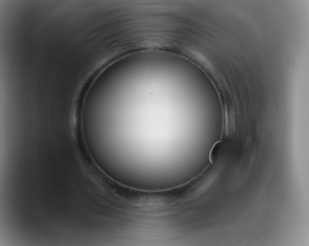 X0000089900435200707121852