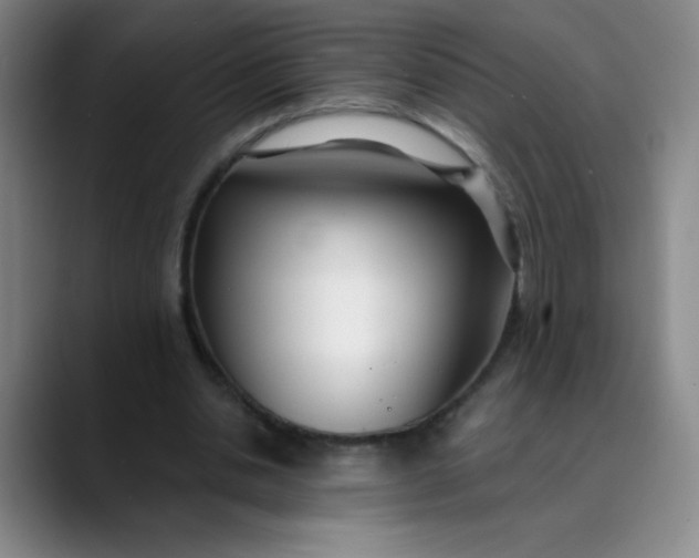 X0000089900438200707121852