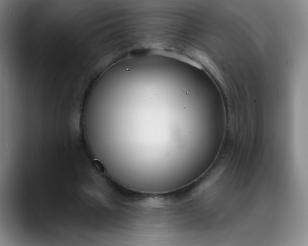 X0000089900441200707121852