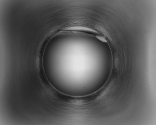 X0000089900444200707121852