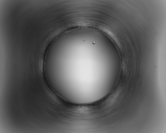 X0000089900445200707121852