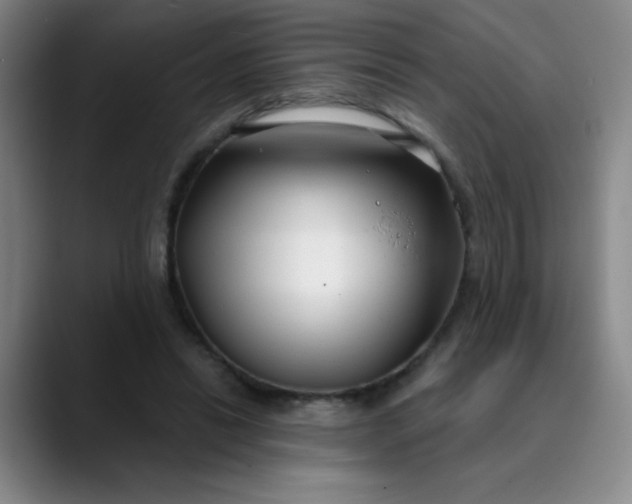 X0000089900446200707121852