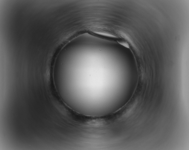X0000089900447200707121852