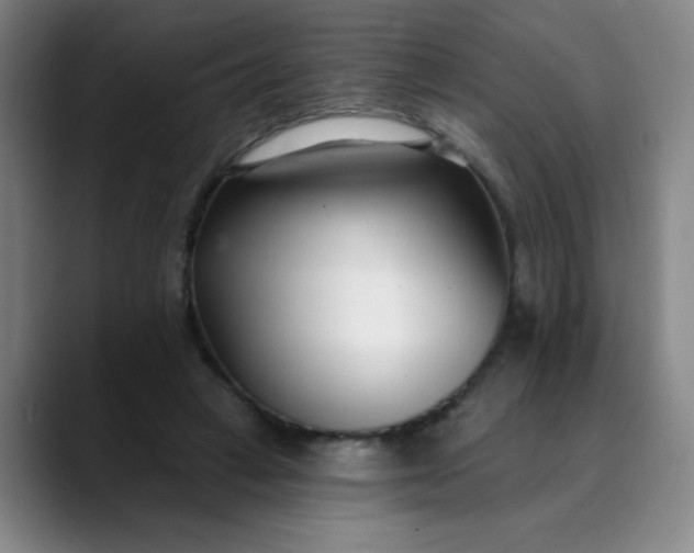 X0000089900449200707121852