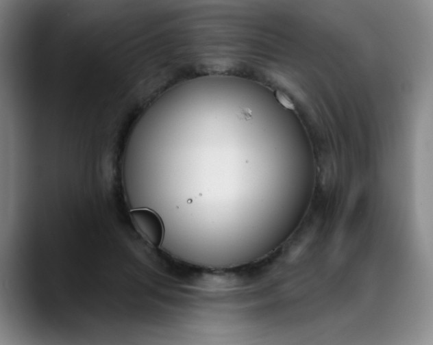 X0000089900455200707121852