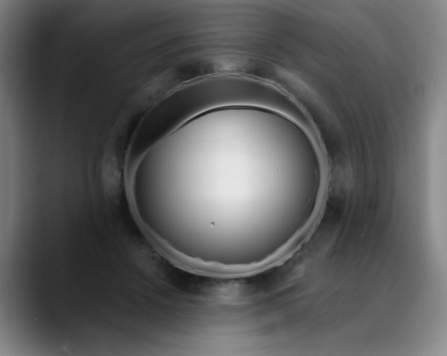 X0000089900456200707121852