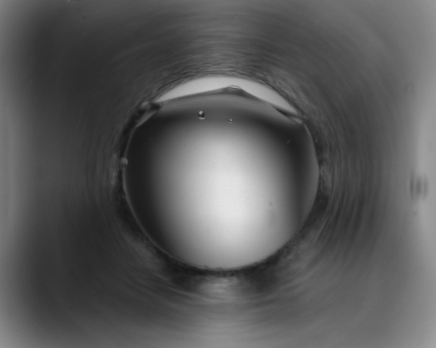 X0000089900458200707121852