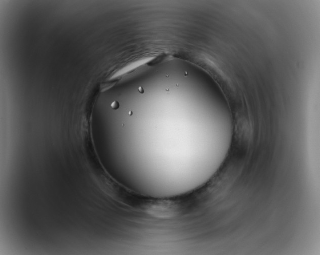 X0000089900459200707121852