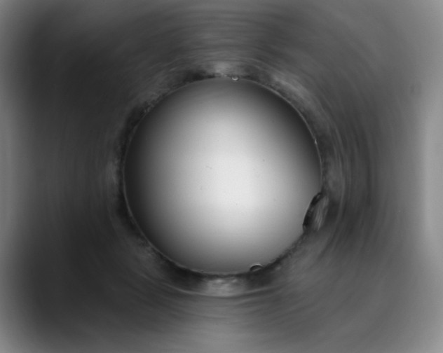 X0000089900461200707121853