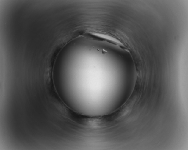 X0000089900462200707121853