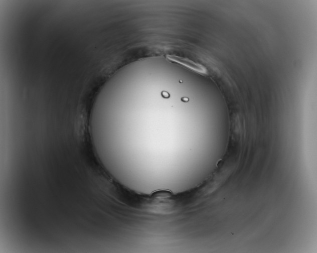 X0000089900463200707121853