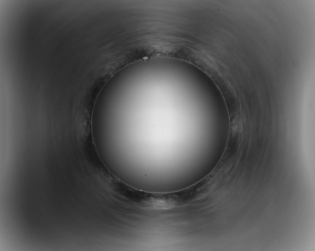 X0000089900464200707121853