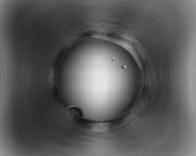 X0000089900465200707121853