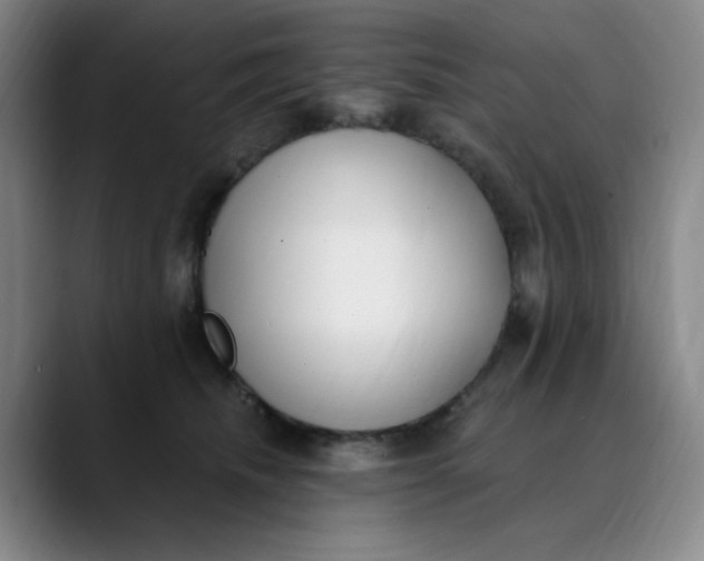 X0000089900468200707121853