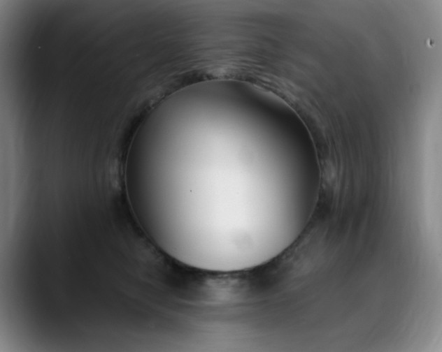 X0000089900470200707121853
