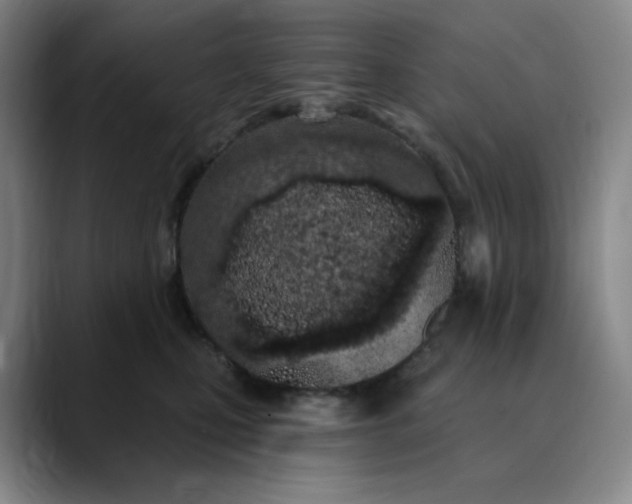 X0000089900471200707121853