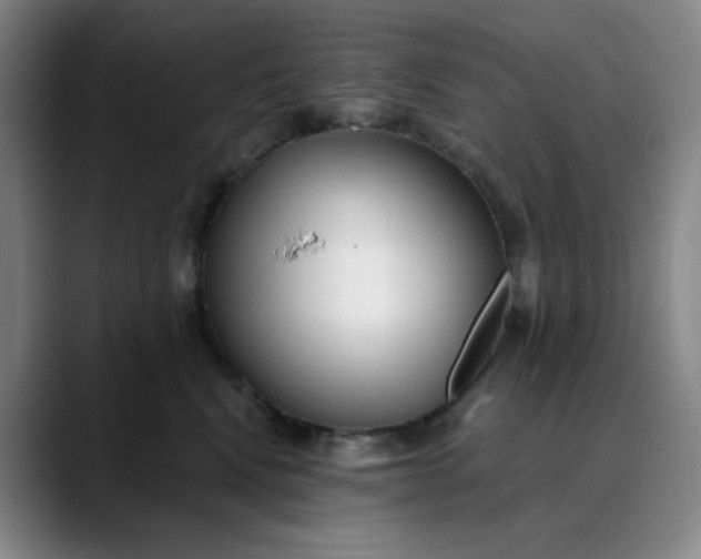 X0000089900472200707121853