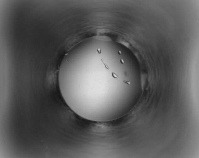 X0000089900475200707121853