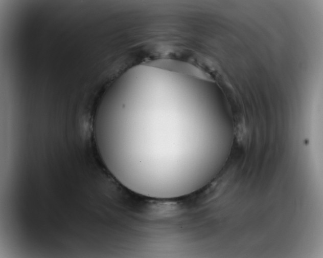 X0000089900476200707121853