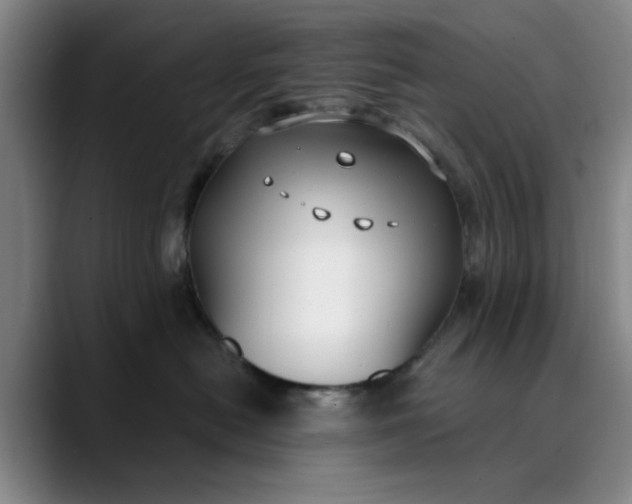 X0000089900478200707121853