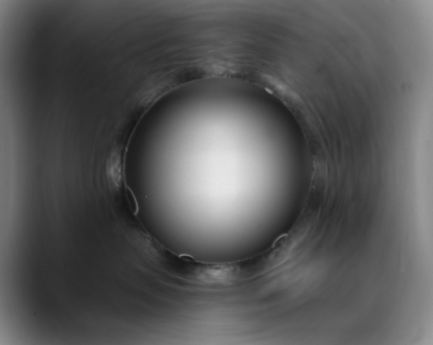 X0000089900479200707121853