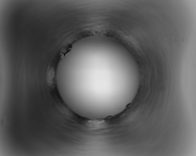 X0000089900480200707121853