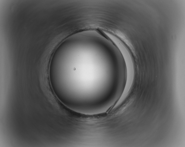 X0000089900481200707121852