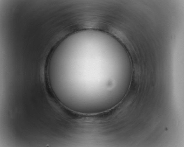 X0000089900482200707121852