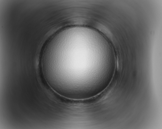 X0000089900483200707121852