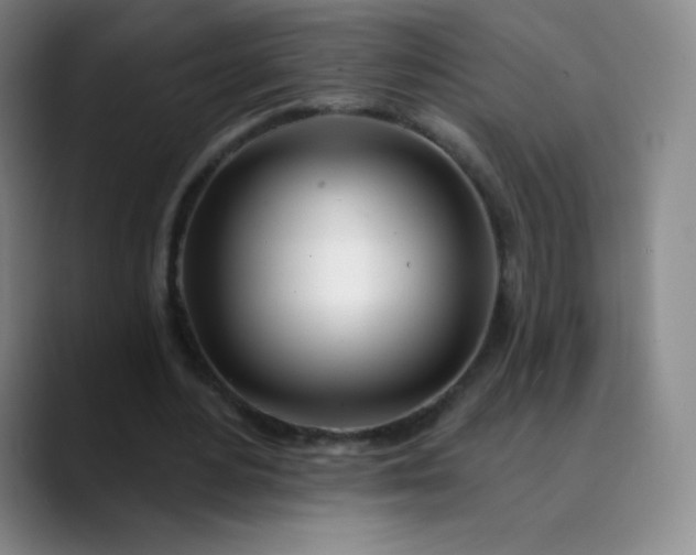 X0000089900484200707121852