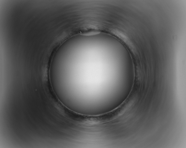 X0000089900489200707121852